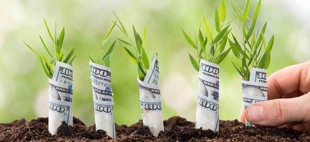 Planting money trees