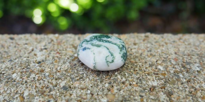 Tree agate outdoors
