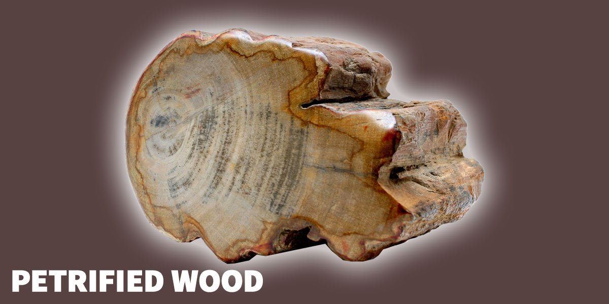 Petrified wood healing properties